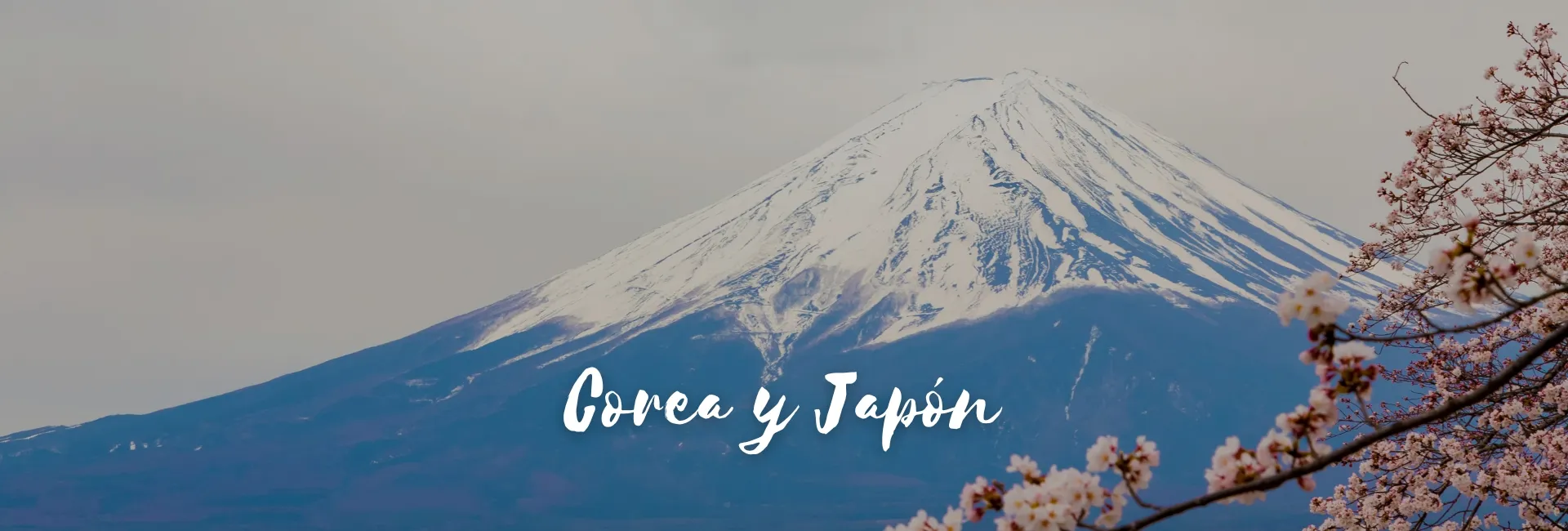 Viaje a AT-30258 Corea y Japón