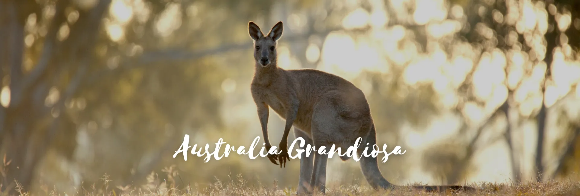 Viaje a AT-33047 Australia Grandiosa